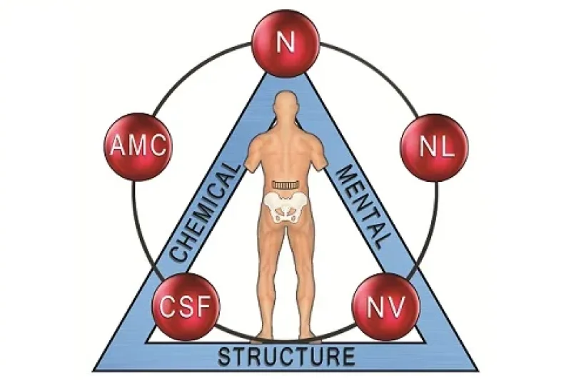 Applied Kinesiology: What It Is & How We Use It